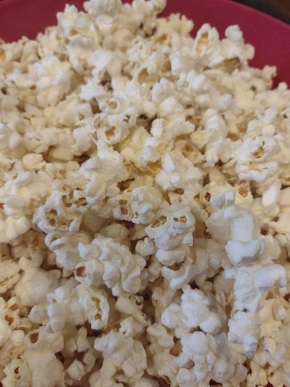 Reusable microwavable popcorn bag in pastel bees